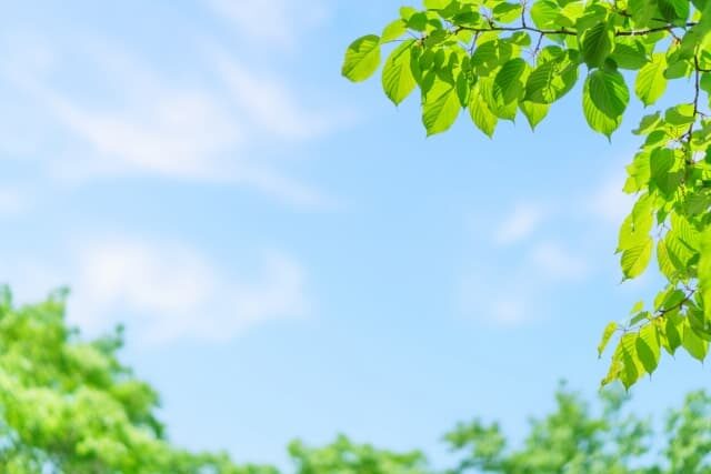 お問い合わせからメンテナンスまで、
すべて自社スタッフが
対応するため安心