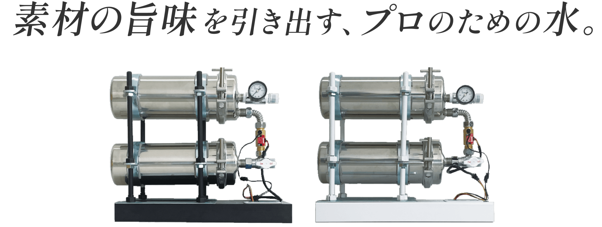 素材の旨味を引き出す、プロの味。